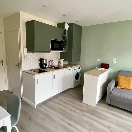 Apartament Cosy Centre Avec Wifi Et Animaux Acceptes - Fr-1-555-106 *